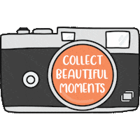 pink rose Sticker by myposter