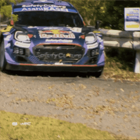 Driving Fast Car GIF by FIA World Rally Championship