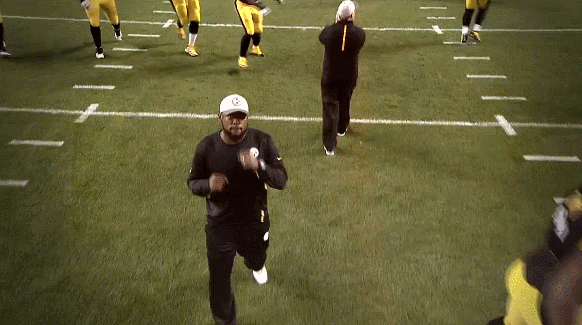 steelers GIF