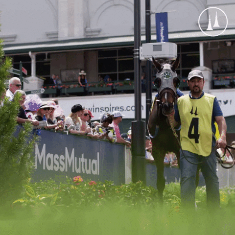TwinSpires giphyupload GIF