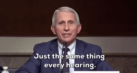 Rand Paul Fauci GIF by GIPHY News