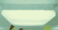 gyrgy plfi GIF by Maudit