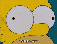 homer simpson GIF
