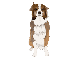 Dog Puppy Sticker