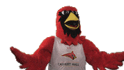calverthallcollege wow cool clap cardinals Sticker