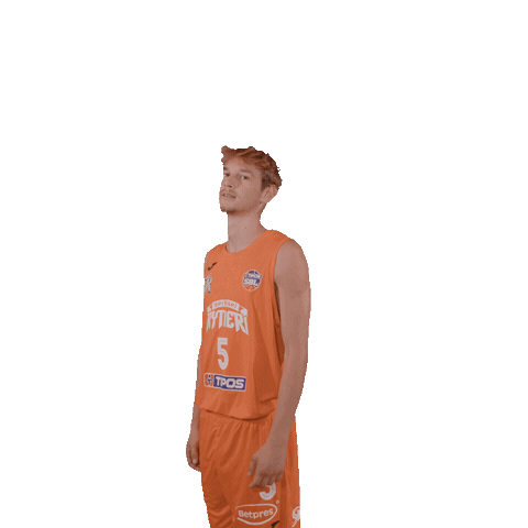 Sport Basketball Sticker by spisskirytieri