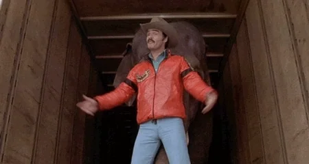 burt reynolds elephant GIF - Find & Share on GIPHY