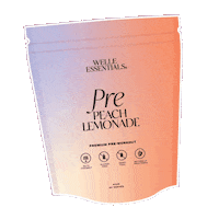 WelleEssentials keto WELLE welle nz welle keto Sticker