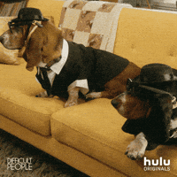 difficult people dog GIF by HULU