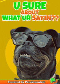 Henlo Hooman Fren GIF by PetJuvenate - PJ