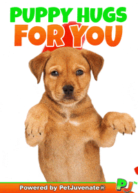 Henlo Hooman Fren GIF by PetJuvenate - PJ