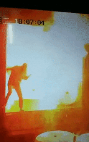 insight1 giphyupload GIF