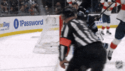 Happy Florida Panthers GIF by NHL