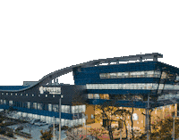 Blue Diamond Ari Sticker by MegaGen Implant