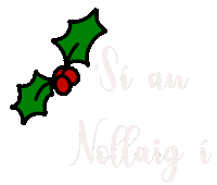 Irish Gaeilge Sticker by Doodles By UM