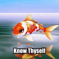 Know Thyself Self-Awareness GIF by TheConfishius