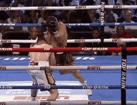 toprank fight boxing fighting espn GIF
