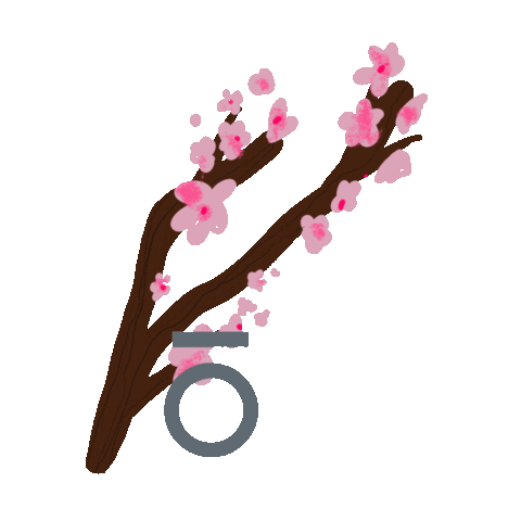 oLivSeattle seattle uw cherry blossoms university of washington Sticker