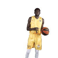 Liga Endesa Sport Sticker by ACB