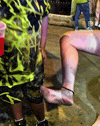 Dirty Feet GIF by Respective