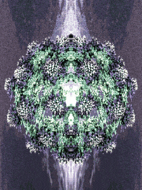 GIF by Leo Pyrata