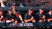 GIF by Oregon State Baseball
