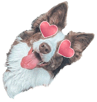 In Love Hearts Sticker