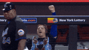 Major League Baseball Sport GIF by MLB