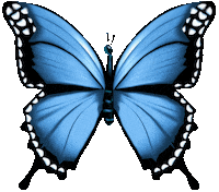 Natureza Sticker