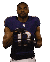 Football Nfl Sticker by Baltimore Ravens