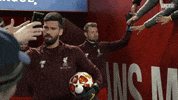 high five champions league GIF by Liverpool FC