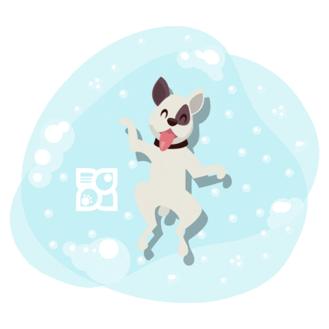 Dog Puppy Sticker by Petland Florida