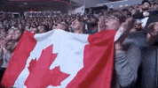Sport Mma GIF by UFC