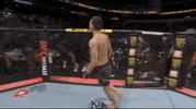 Sport Mma GIF by UFC