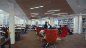 university college london GIF by UCL Institute of Education