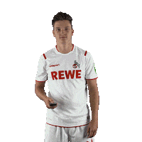 1 Fc Cologne Football Sticker by 1. FC Köln