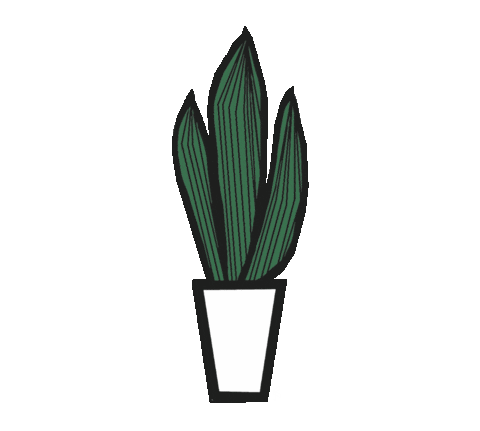Green Plant Sticker