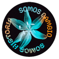 Pride Queer Sticker by Amnistia Internacional Mexico