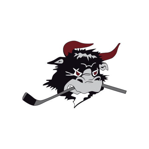 rodovremightybulls giphygifmaker rødovre mightybulls Sticker