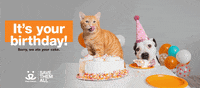 Save Them All Birthday Party GIF by Best Friends Animal Society