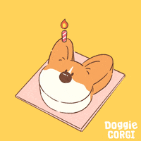 Happy Dog GIF