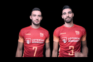 redlynxes volleyball voleibol mikasa redlynxes GIF