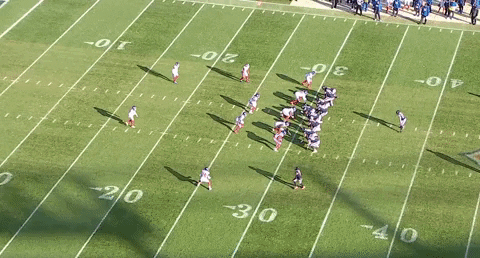 nfalato11 giphyupload GIF