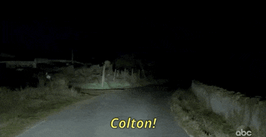 episode 11 abc GIF by The Bachelor