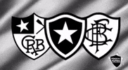 Botafogo De Futebol E Regatas Bfr GIF