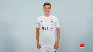 Happy Borussia Moenchengladbach GIF by Bundesliga