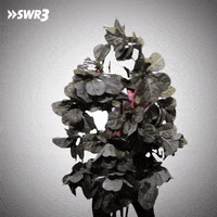 Blushing Homer Simpson GIF by SWR3