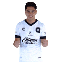 Liga Mx Gallos Sticker by Club Querétaro