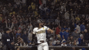 Major League Baseball Sport GIF by MLB