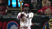 Yell Major League Baseball GIF by MLB